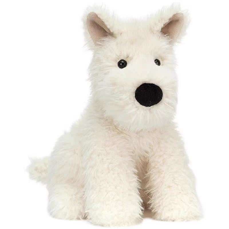 Die besten Spielzeuge für einen Westie: Wie man die perfekte Variante auswählt