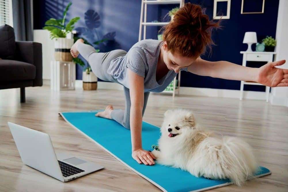 The Best Exercises to Keep a Pomeranian Healthy and Happy