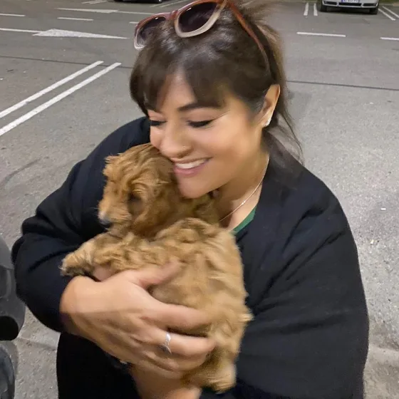 Hündin Cavapoo, sprachlose Bewertung ☺️