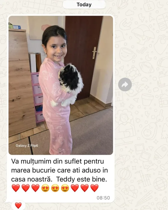 Úsměv holčičky a teplý pohled malého Teddyho řeknou vše! Teddy, rozkošný Shih Tzu, dorazil bezpečně do Rakouska a už si získal srdce všech. Děkujeme ze srdce za emotivní zprávu – m