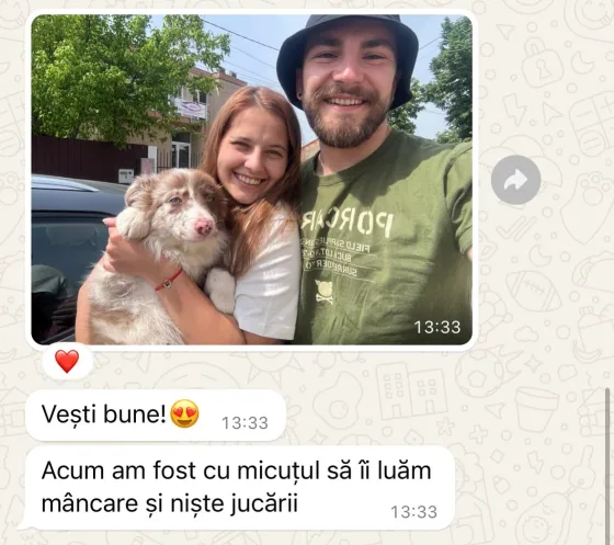 Geweldig nieuws van een van onze Border Collie puppies! De kleine is in de armen van een warme en liefdevolle familie aangekomen en geniet nu al van heerlijk eten en nieuw speelgoe